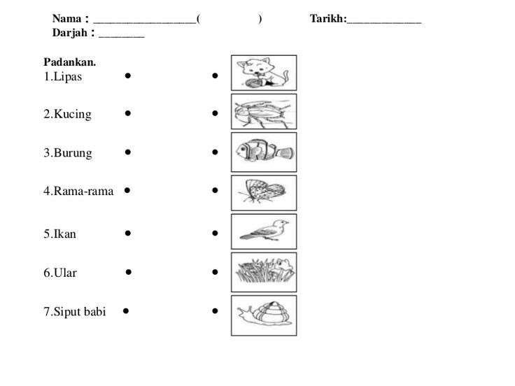 Soalan 6 Tahun Bahasa Melayu  Jiran