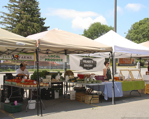 Tea for Two Sisters: Bayshore Farmers' Market