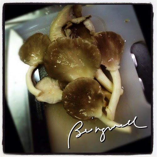 Cooking Spinach with Oyster Mushroom