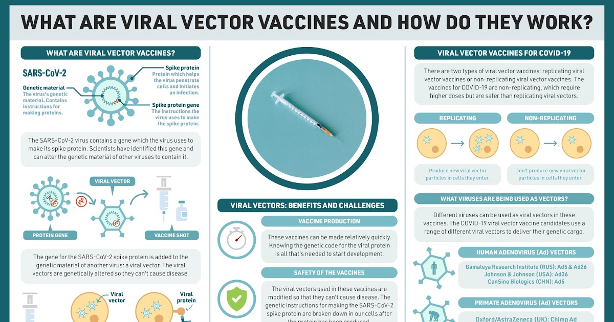 What Are Viral Vector Vaccines - vafici