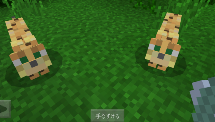 最高のマインクラフト 最高minecraft ヤマネコの手懐け方