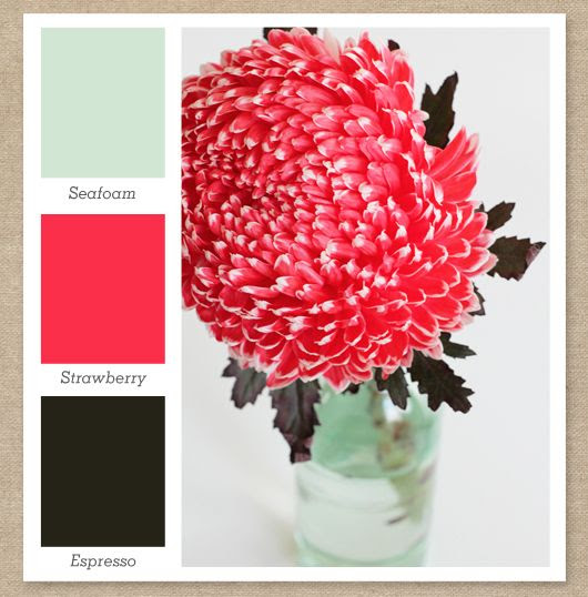 http://www.pinterest.com/pin/214554369720211747/ Color Palette I am digging. I would use dark wood furniture to represent the espresso in the room. Seafoam; mint, green Strawberry; pink, fuschia Espresso; brown.