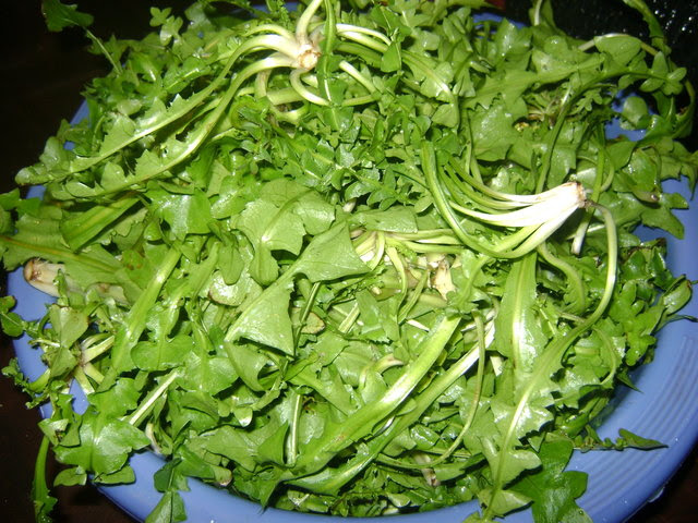 radikia