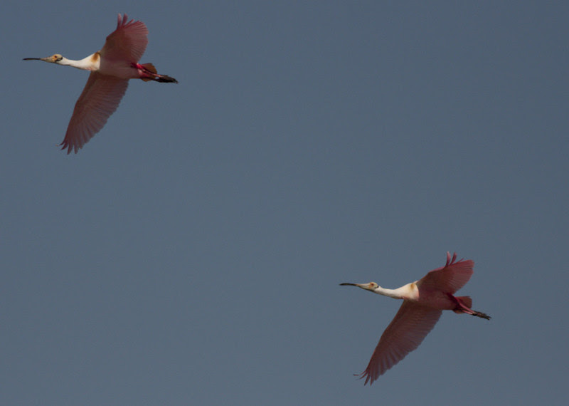 Photo & Video Sharing by SmugMug Photo & Video Sharing by SmugMug