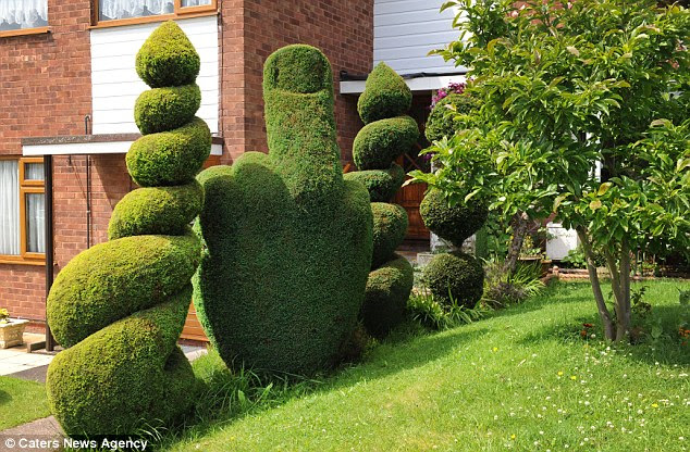 'Public order offence': The council has ordered that this bush carved into the shape of an offensive hand gesture in Richard Jackson's garden be altered after a complaint from a neighbour