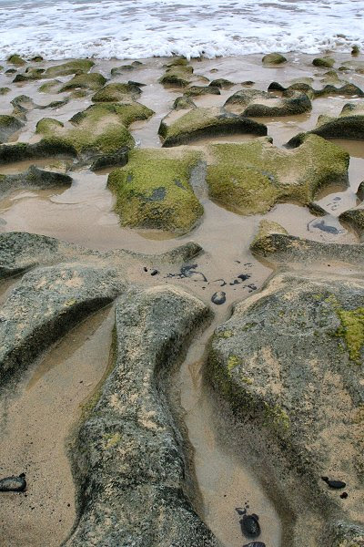 20060528-vs-0658