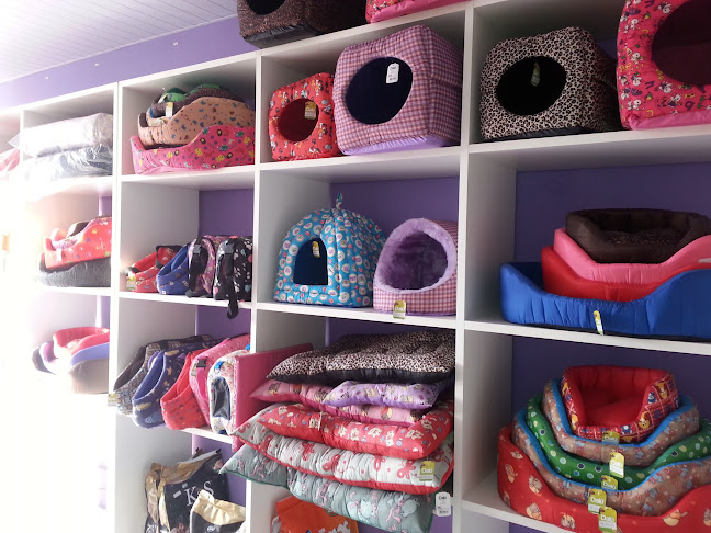 Petlife Petshop - Campo Grande