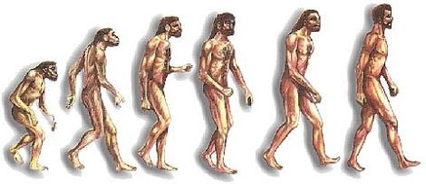 L'evolució humana / XTEC Imatge