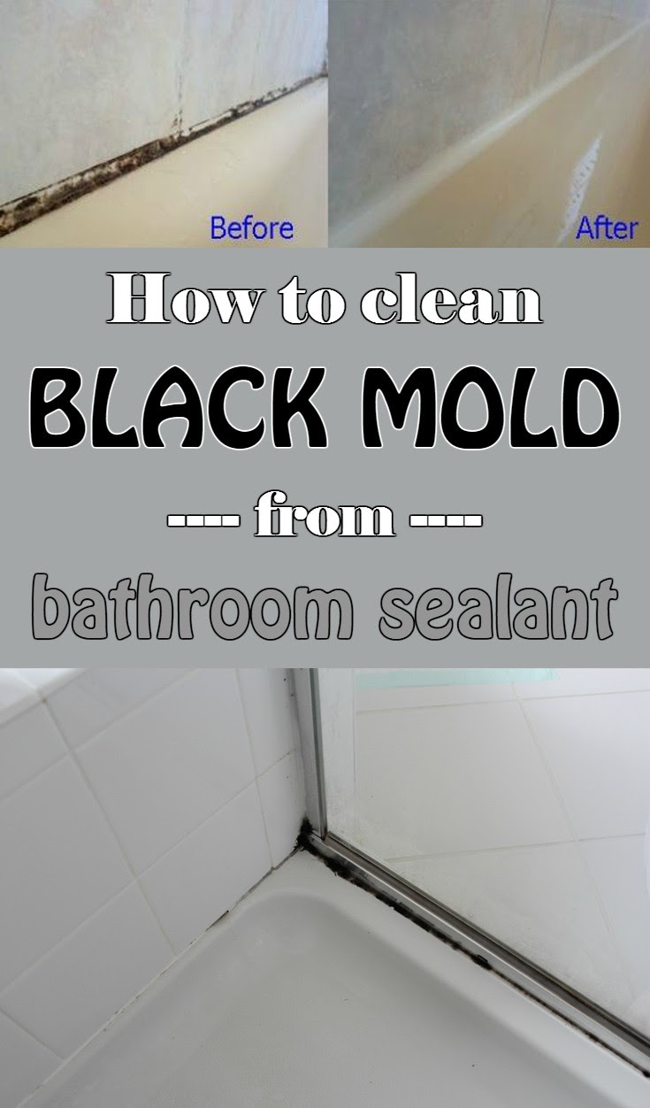 How To Clean Mold In The Bathroom  Interior Design