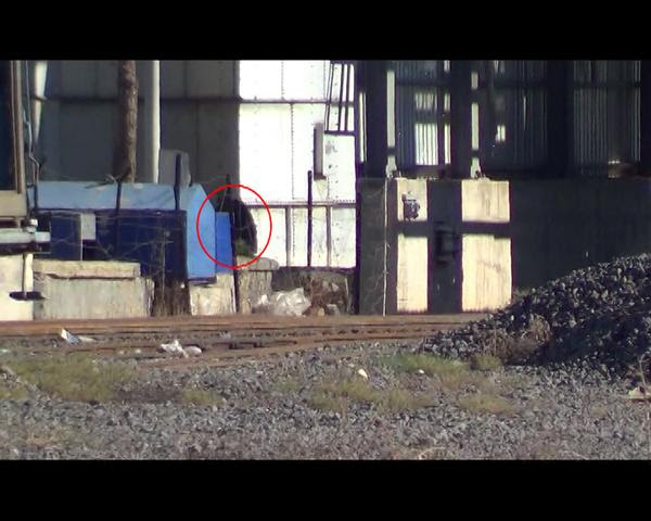 kobane-6