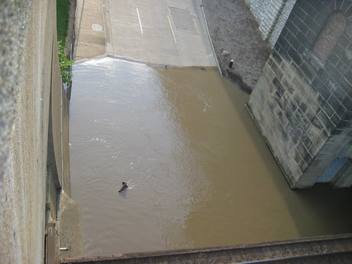 Wash Ave Flooded june 2008.JPG