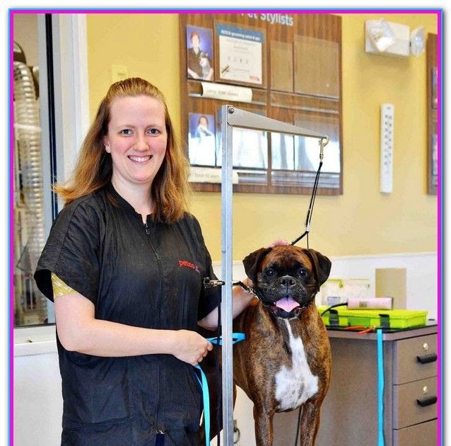 Dog Groomers Near Me And Prices - TEWLO