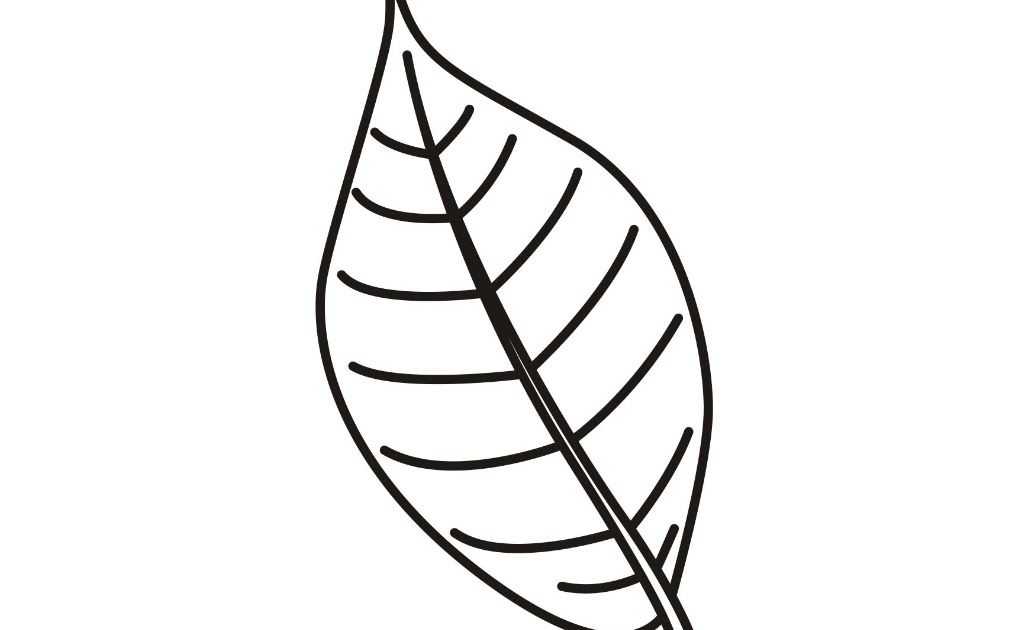 Flower leaves coloring pages download and print for free - Coloring Pages