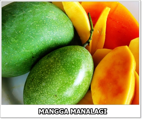 Mangga Manalagi-01