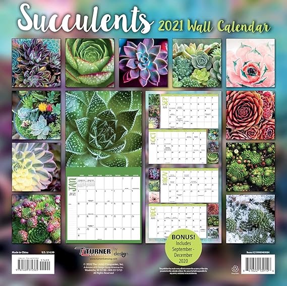Soct 2021 Calendar | Academic Calendar