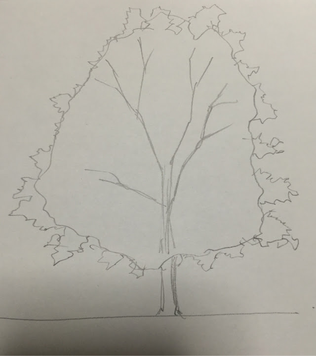 印刷可能 桜の 木 イラスト 書き方 イラスト素材