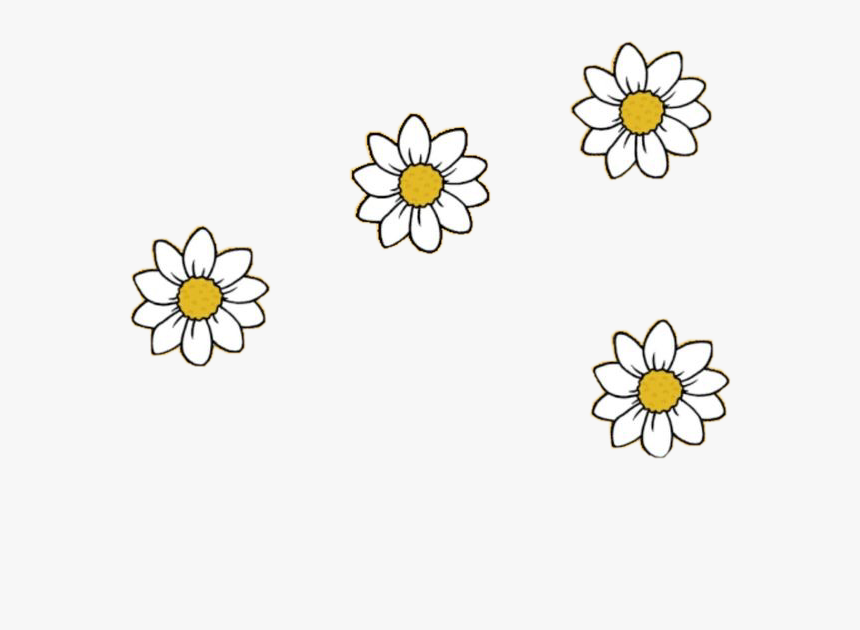 Aesthetic Flower Drawing Transparent Png - Draw-fDraw