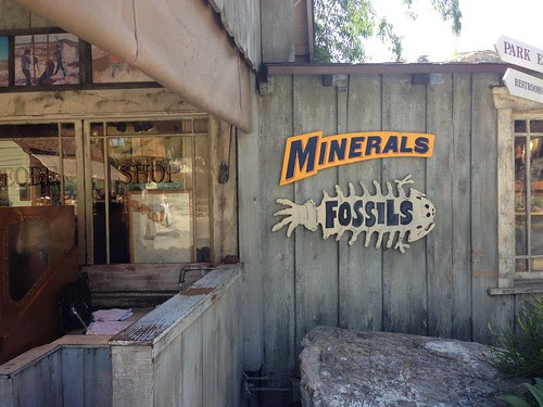 minerals and fossils