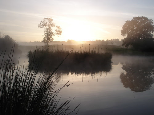 Spring Dawn