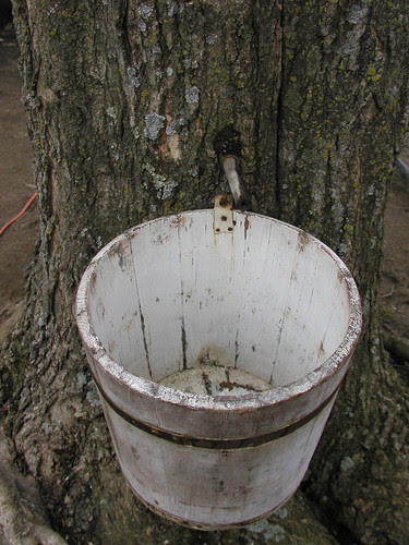 wooden bucket