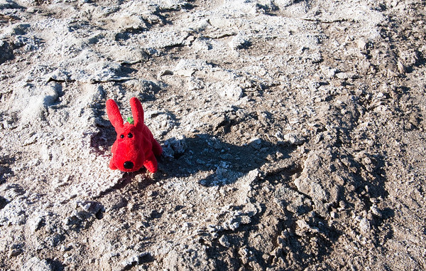 Rover walking on salt, Death Valley National Park