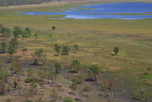 View from Ubirr