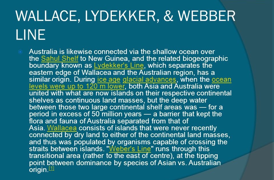 Weber And Wallace Line