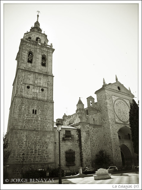 La Colegial (II)