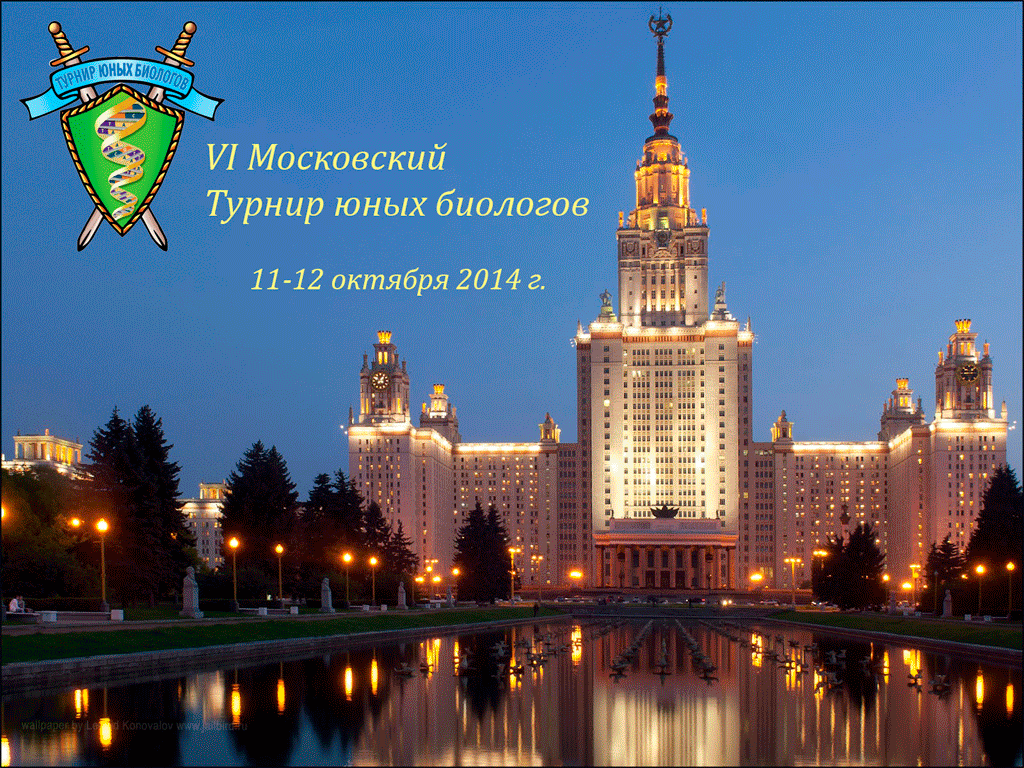 Региональные этапы ТЮБ