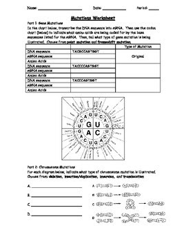 32 Genetic Mutations Worksheet Key - Worksheet Database Source 2020