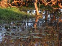 Free Image Hosting at www.ImageShack.us