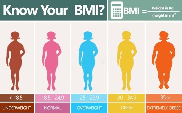 Body Mass Index - Everything You Should Know About Your BMI - How to ...