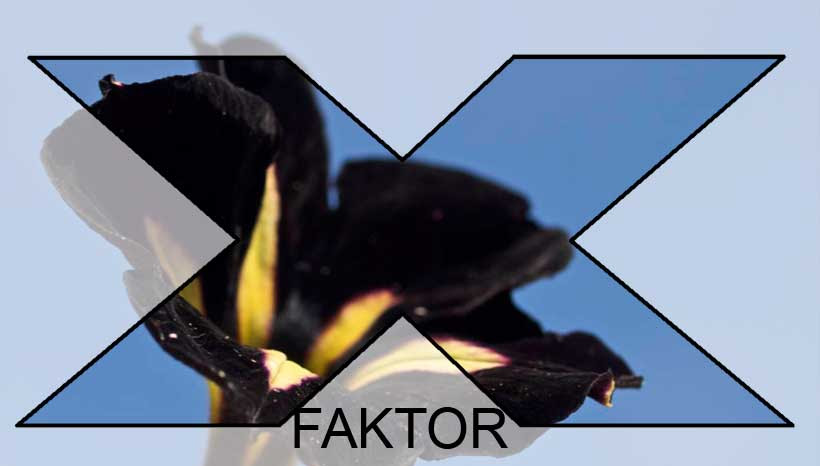 svarte-gronne-blomster