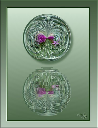 Rippled Reflections