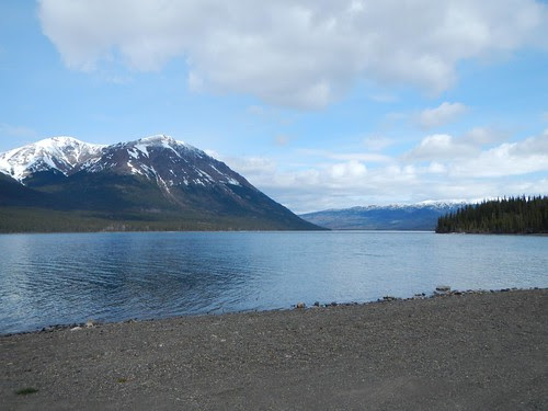 Everyday for 7 Weeks - Day 22 - Dease Lake to Stewart