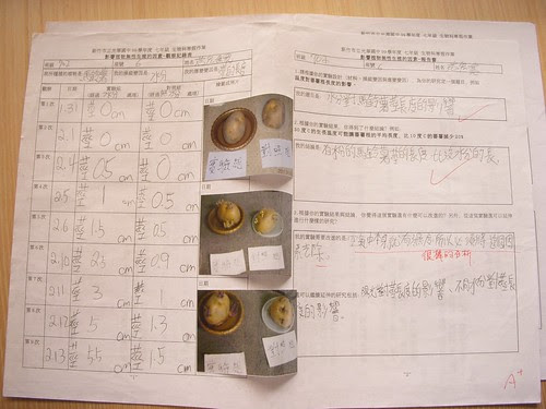 DSCN3307.JPG