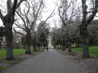 Free Image Hosting at www.ImageShack.us