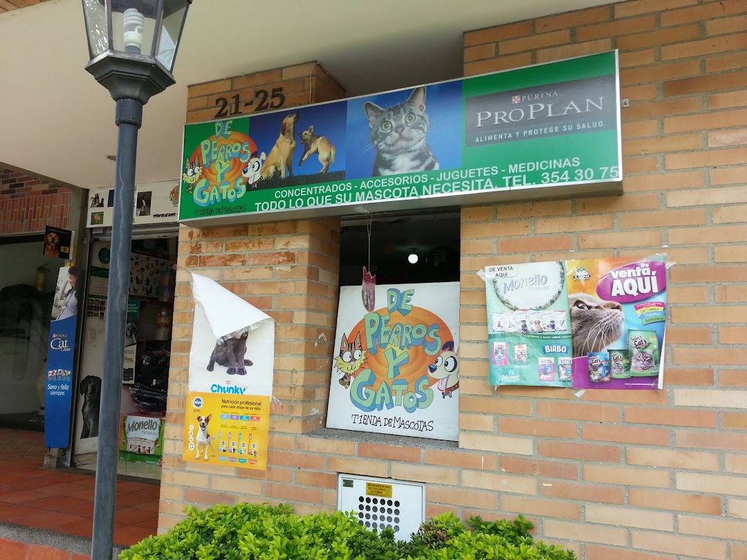 DE PERROS Y GATOS