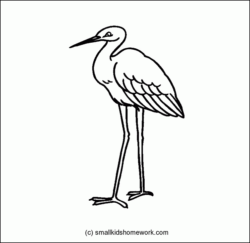 Crane Drawing Easy With Colour - bmp-head