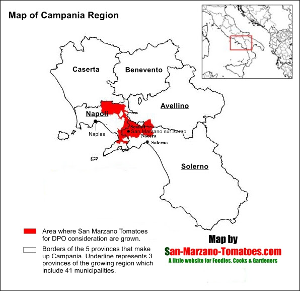 San Marzano Italy Map  Tourist Map Of English