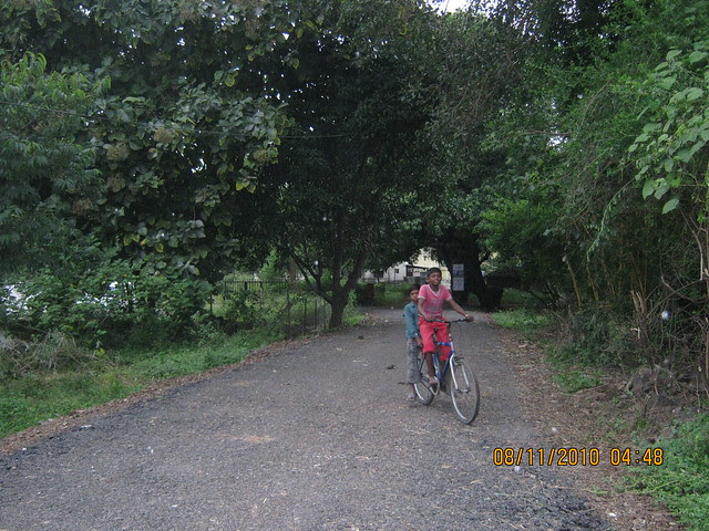 Tree lined road to Pinnacle Cottage Close at 'Abhiruchi Village' on Sinhagad Road Pune 411 041