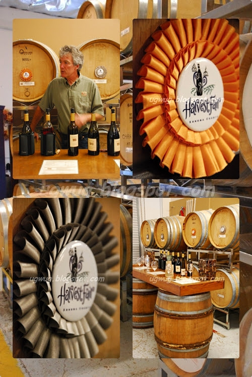 Chris Loxton @ Loxton's Tasting Room