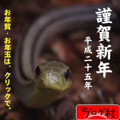 ブログランキング・にほんブログ村へ