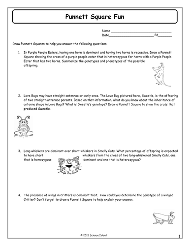 Patterns Of Inheritance Worksheet Answers - worksheet