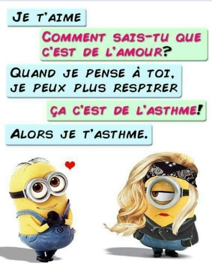 [55] Humour Citation Minion Humour Travail Télécharger