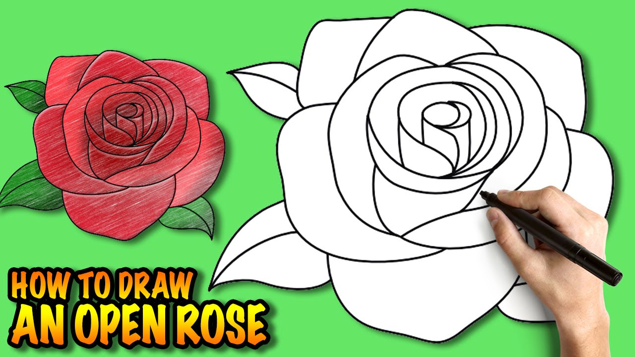 Cute Rose Flower Drawing Easy - Images Gallery