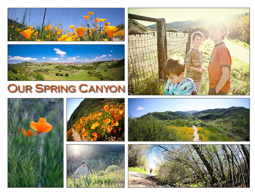 Our Spring Canyon - blog res-000001