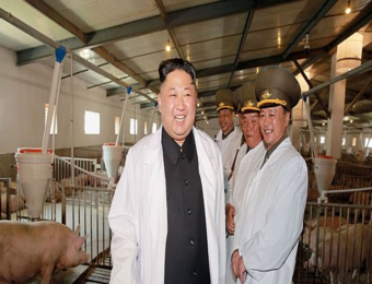 pig_boy_kim.png pig_boy_kim.png