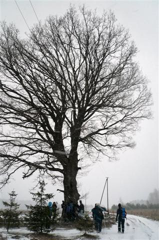 P1290385