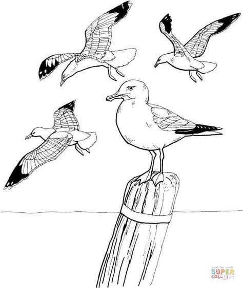 vögel zum ausdrucken - ausmalbilder